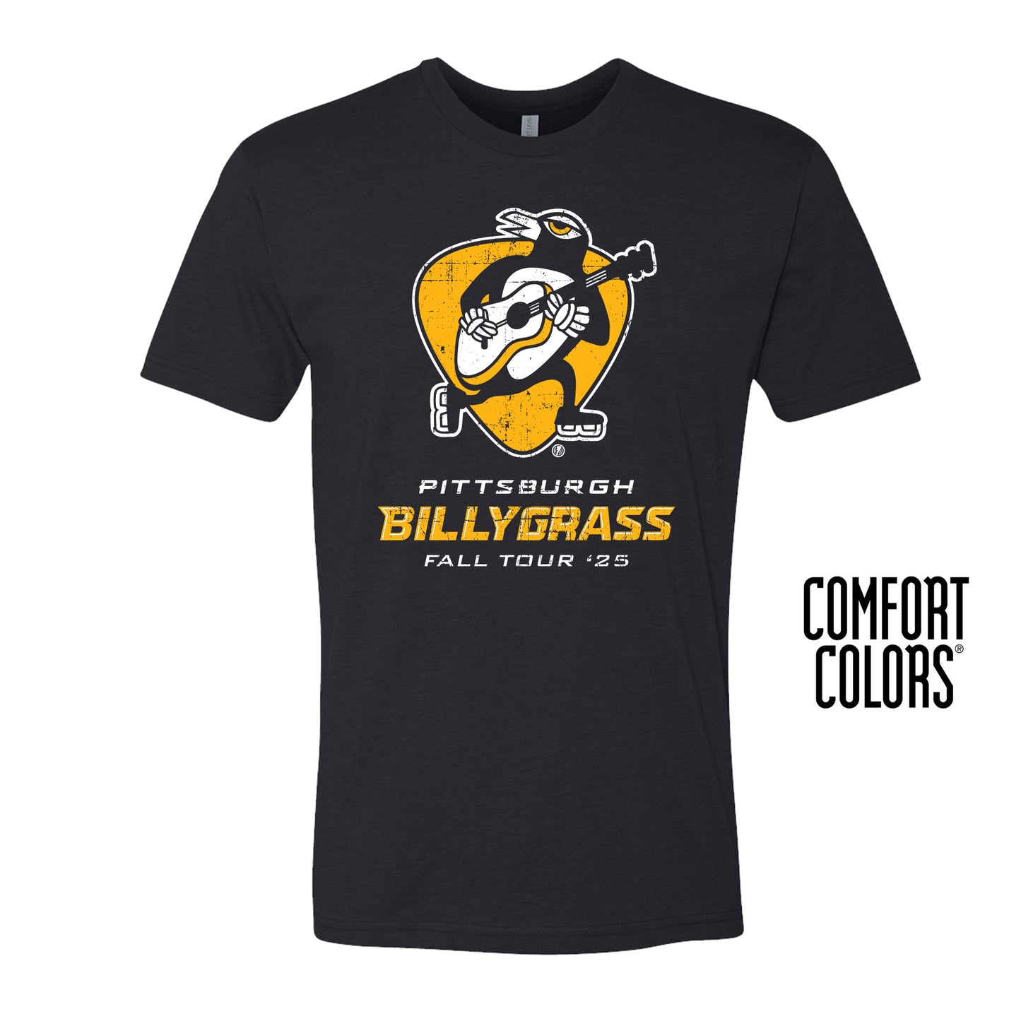 Pittsburgh Billygrass!