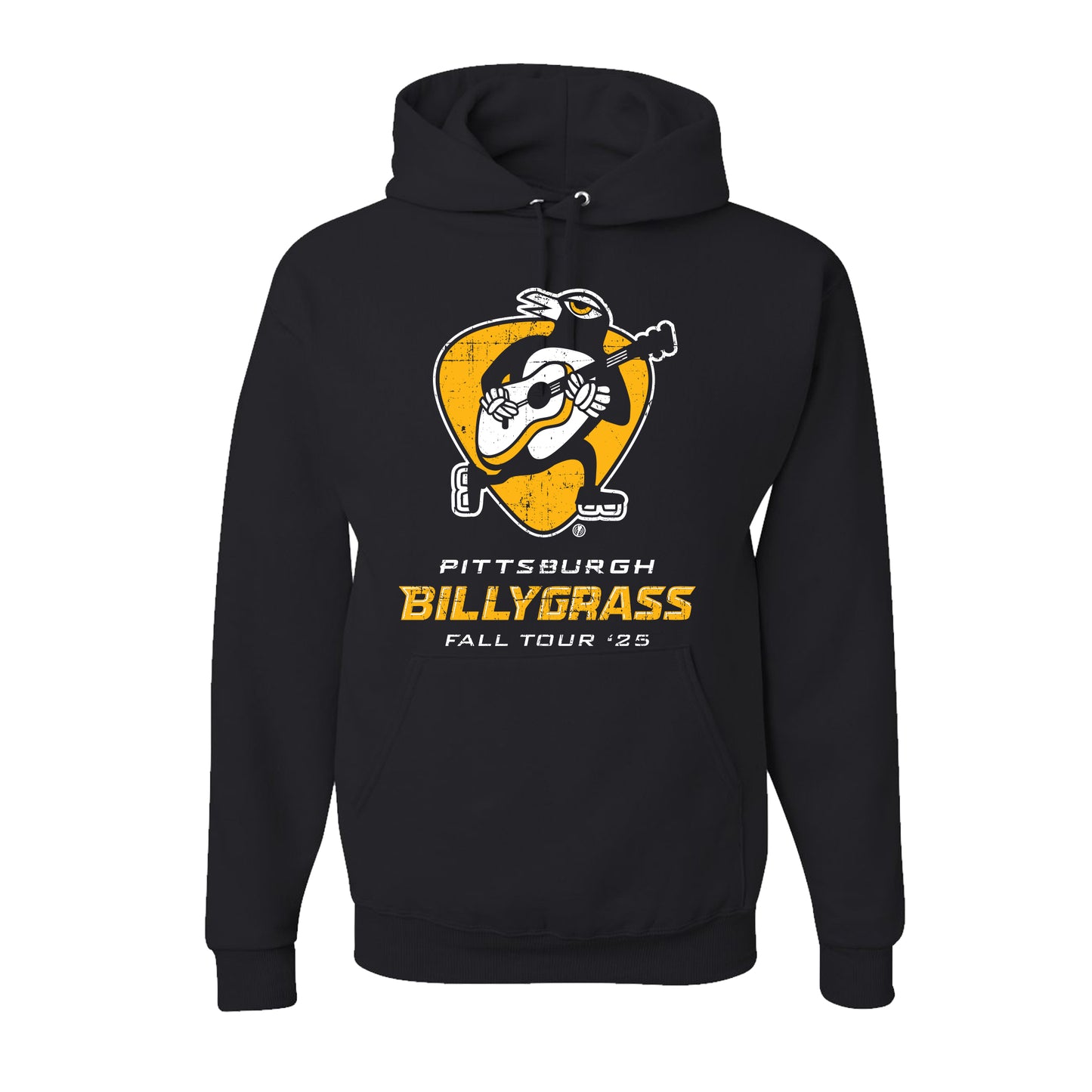 Pittsburgh Billygrass!