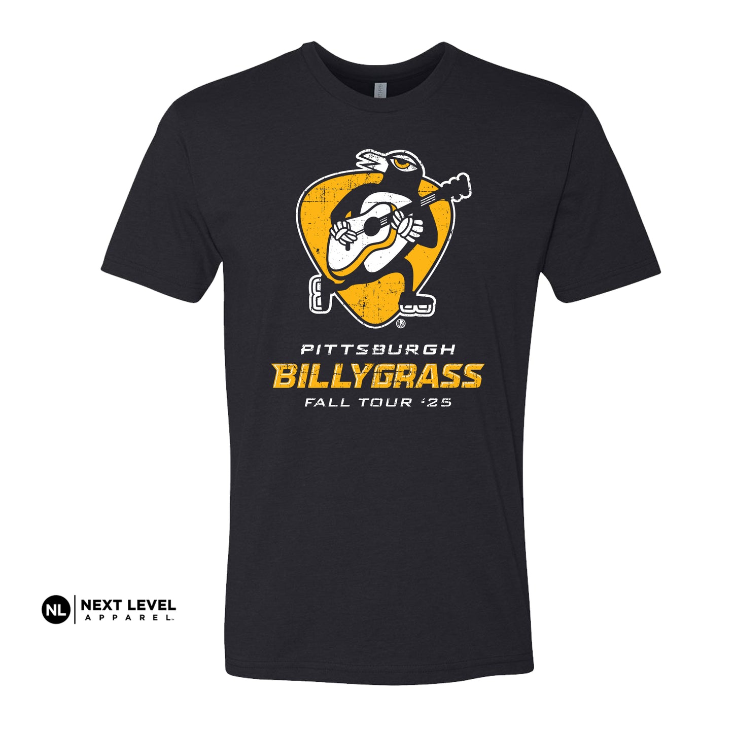 Pittsburgh Billygrass!