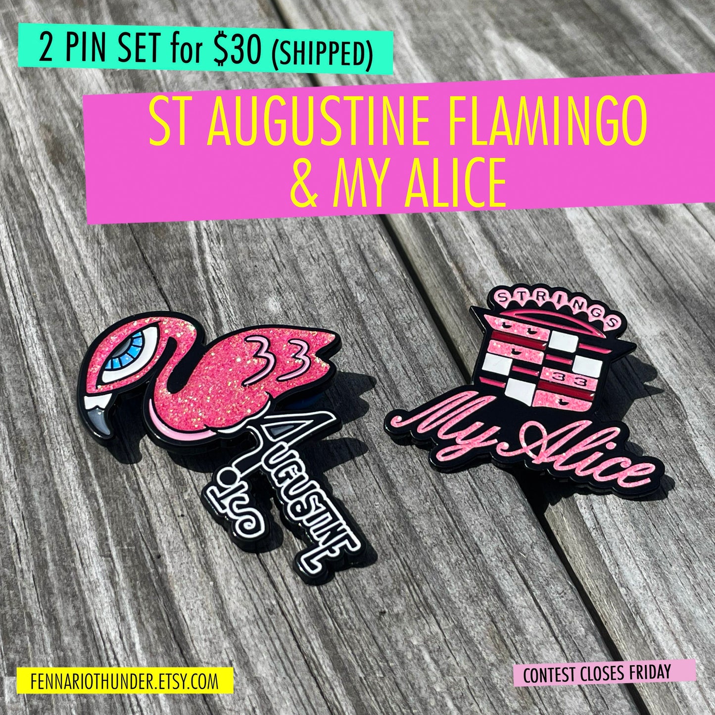 St Augustine Flamingos